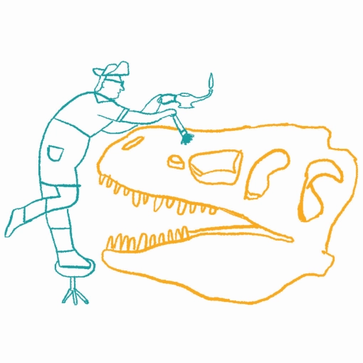 illustrazione di un archeologo che pulisce il teschio di un dinosauro
