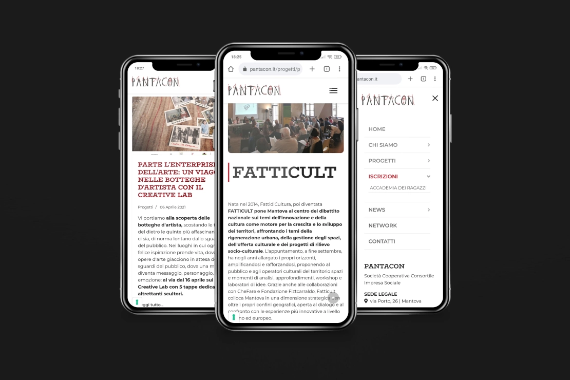 anteprima sito pantacon da smartphone